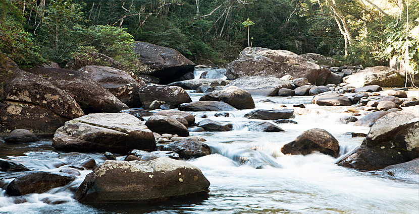 Floresta Nacional de Passa Quatro