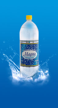 Água mineral com gás Magna 2 L
