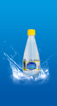 Água mineral com gás Passa Quatro 310 mL