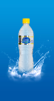 Água mineral com gás Passa Quatro 510 mL